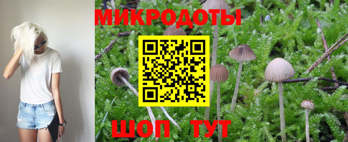 Галлюциногенные грибы MAGIC MUSHROOMS Одинцово