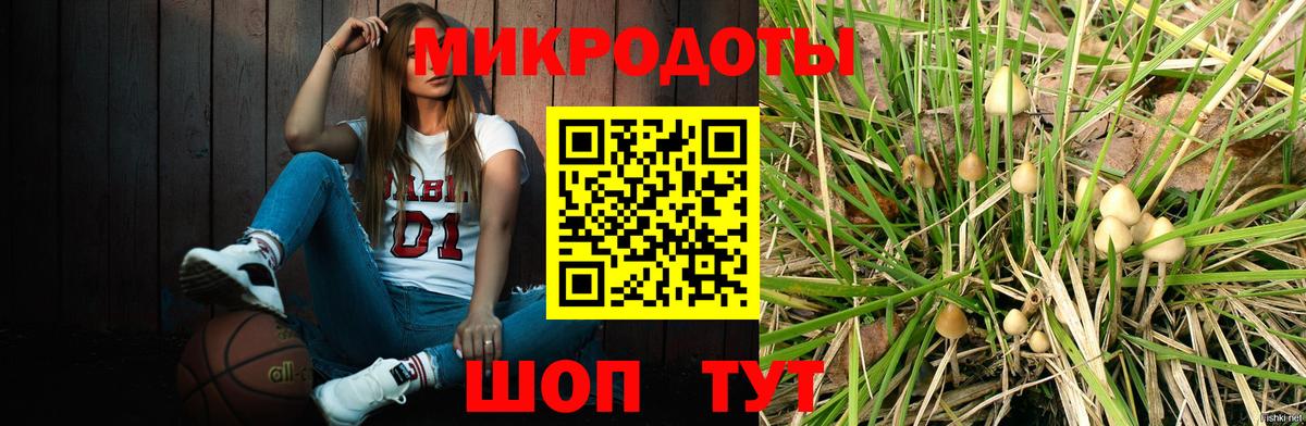 сколько стоит  Псилоцибиновые грибы мицелий  Вход с VPN  Одинцово 